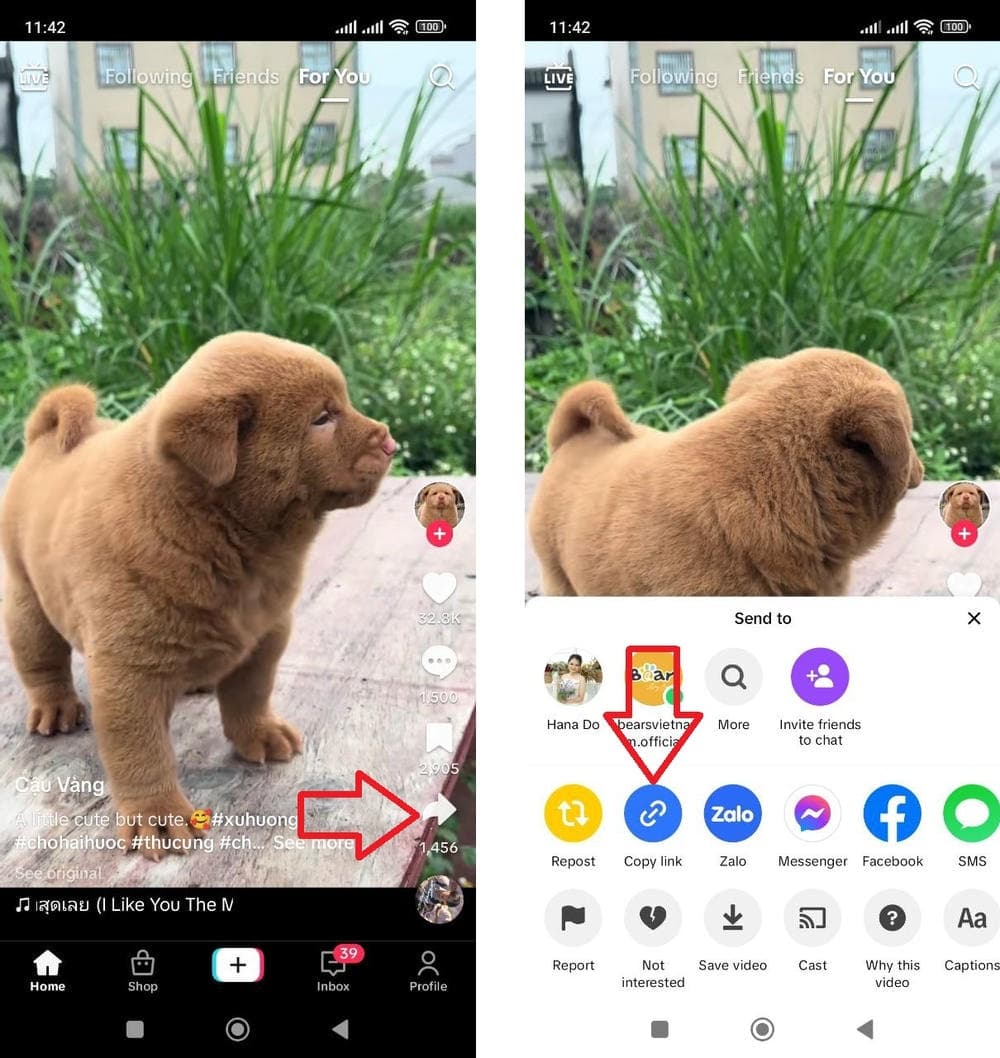 Guide to copy TikTok link on iPhone and Android